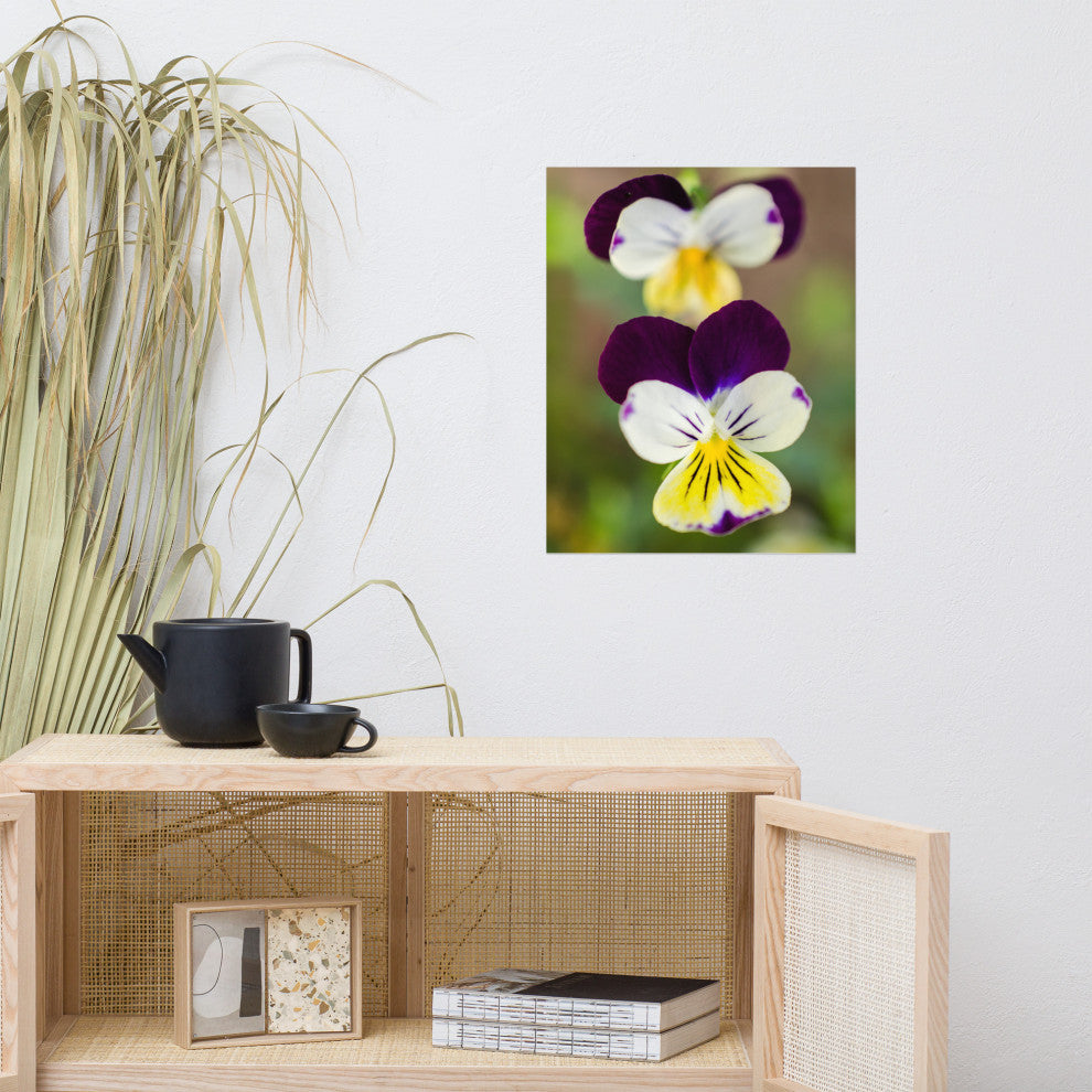 Pretty Little Violets Floral / Botanical Photograph Unframed Wall Art Prints, 16" X 20"