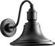 Industrial Outdoor Lantern, 16", Black
