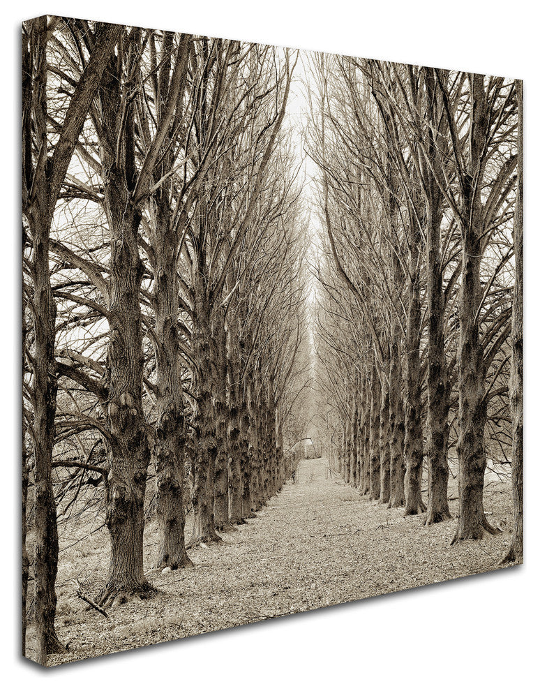 Alan Blaustein ''Hampton Gates Promenade III'' Canvas Art, 14x14