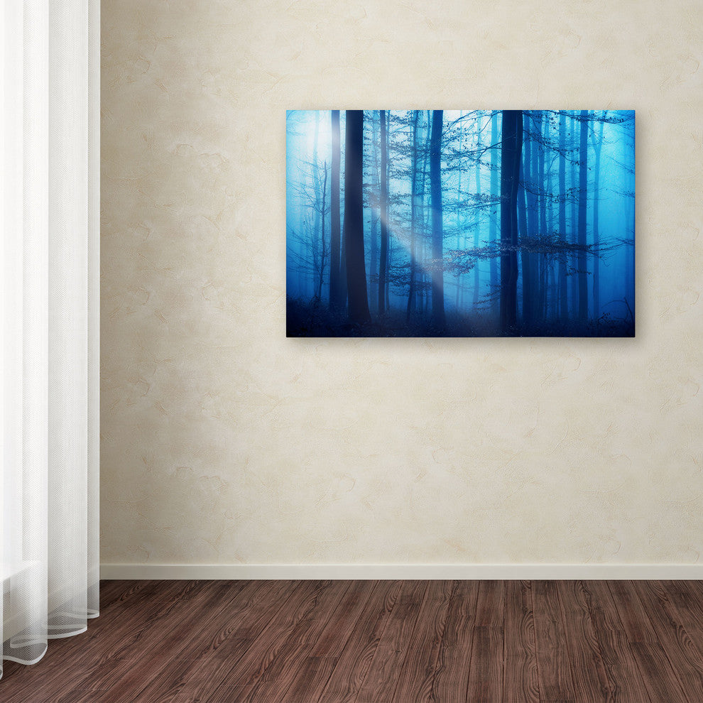 'Light Box Blues' Canvas Art by Philippe Sainte-Laudy