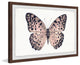 "Pink and Black Wings" Framed Painting Print, 24"x16"