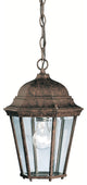 Outdoor Pendant 1-Light, Tannery Bronze