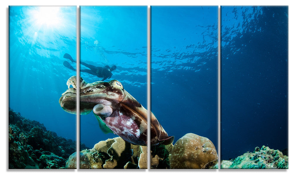 Broadclub Cuttlefish Underwater, Large Seashore Canvas Print, 48"x28", 4 Panels