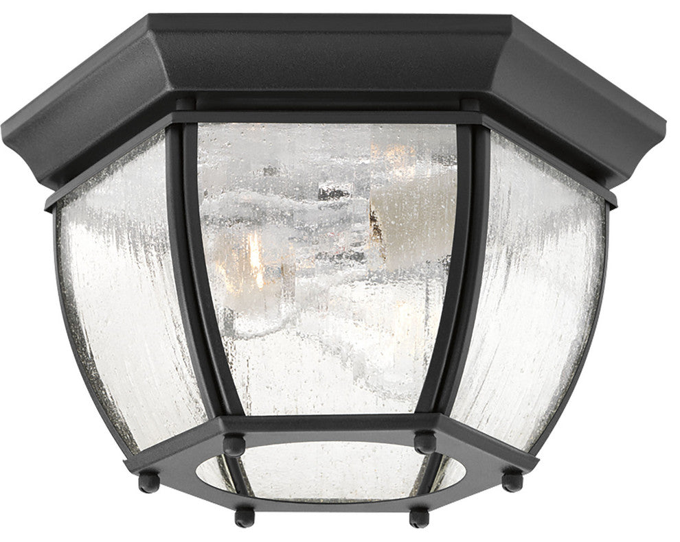 Progress Lighting 2-Light Fush Mount, Clear Seeded Glass Curved Panel, Black