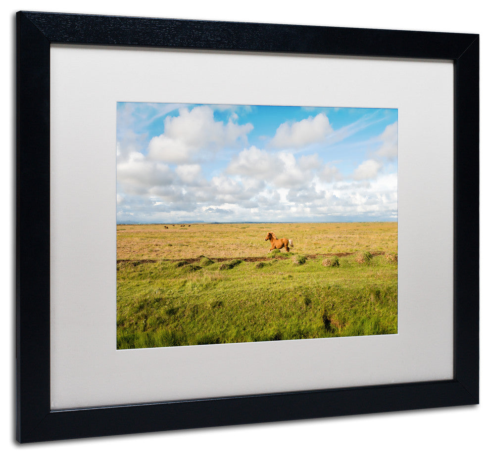 Philippe Sainte-Laudy 'Free as a Horse' Matted Framed Art