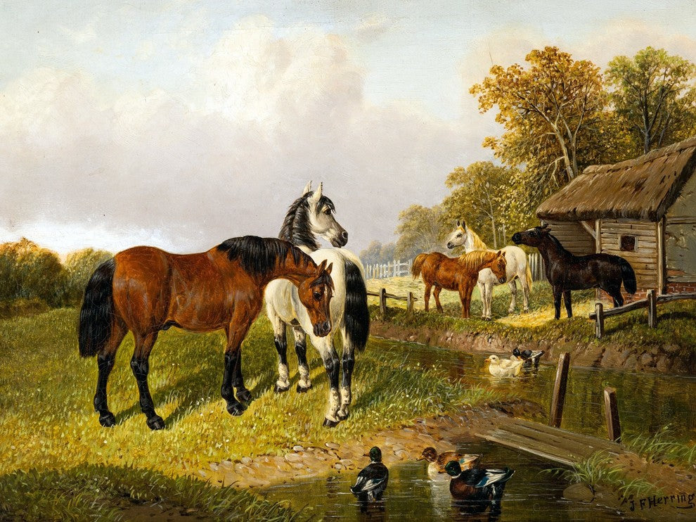 Farm Yard Horse Duck J. Herring Accent Tile Mural Backsplash, 6"x8", Matte