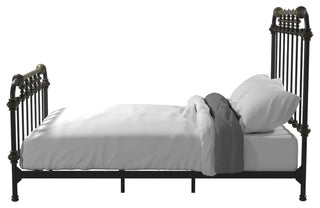 Furniture of America Cecil Transitional Metal Twin Spindle Bed in Antique Black