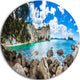 Nestor Notabilis Kea Panorama, Seashore Disc Metal Artwork, 36"