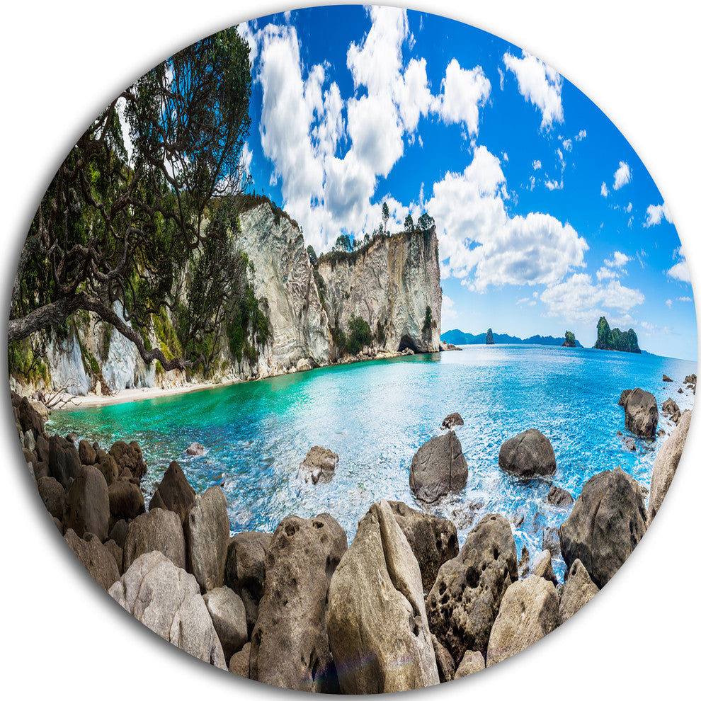 Nestor Notabilis Kea Panorama, Seashore Disc Metal Artwork, 36"