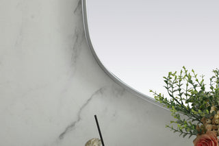 Elegant Lighting MR2B2448 Brynn 24" W x 48" H Oval Framed - Silver