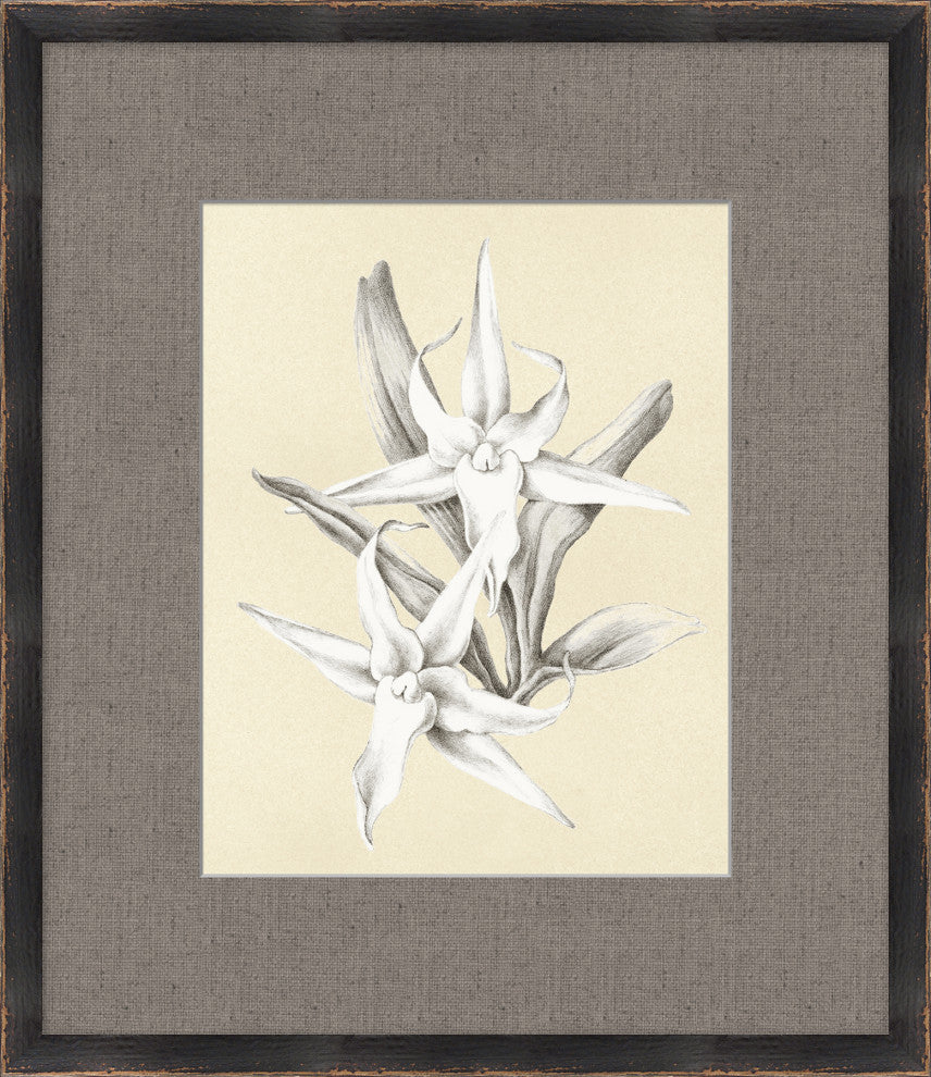 Jump Comets, Giclee Reproduction Artwork