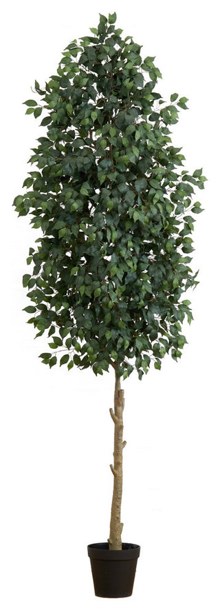 Product shot on white background showing full tree with pot; clean, front-facing view.