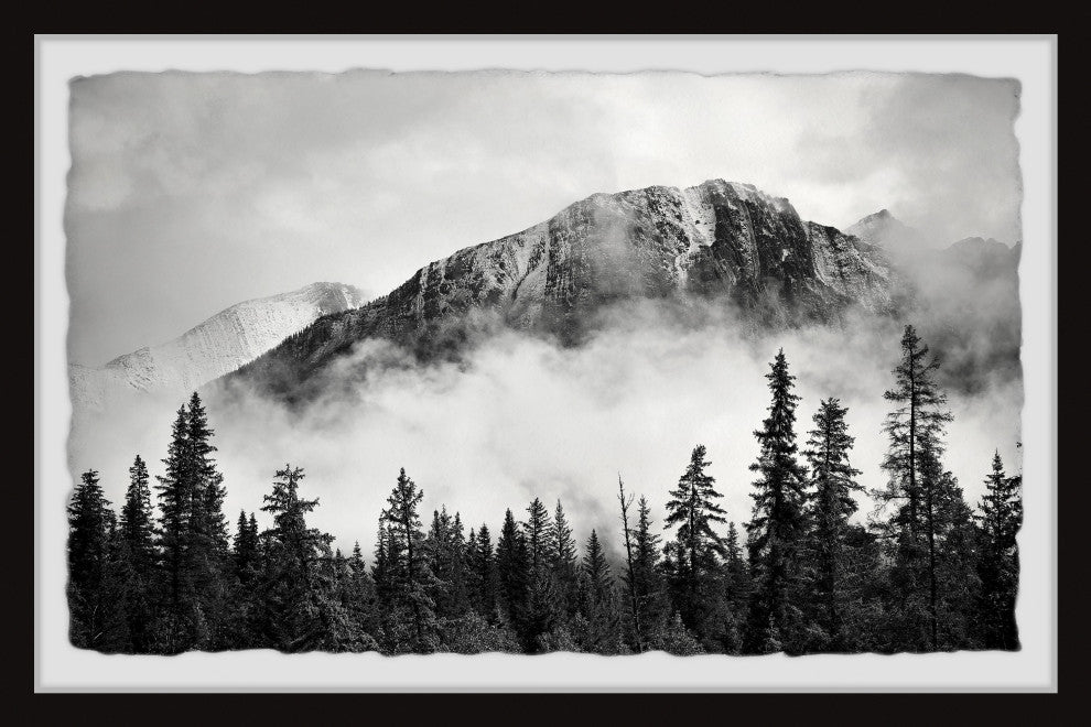 "Forest on Fog" Framed Painting Print, 36x24