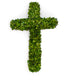 Preserved Boxwood Cross 24" x 16" x 3"
