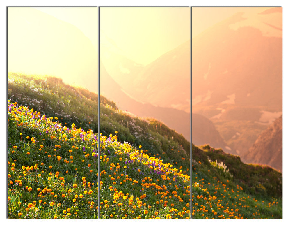 Flowering Mountain Meadow View, Landscape Triptych Canvas Art, 36x28, 3 Panels