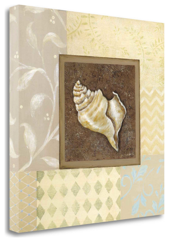 24" Conch Shell With Multi-Pattern Background Giclee Wrap Canvas Wall Art