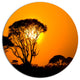 Beautiful African Sunset In Savannah, African Disc Metal Wall Art, 11"