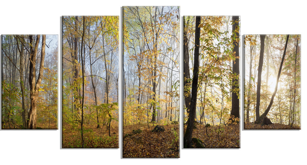 "Green Autumn Forest in Morning" Landscape Canvas Photo Print, 5 Panels, 60"x32"