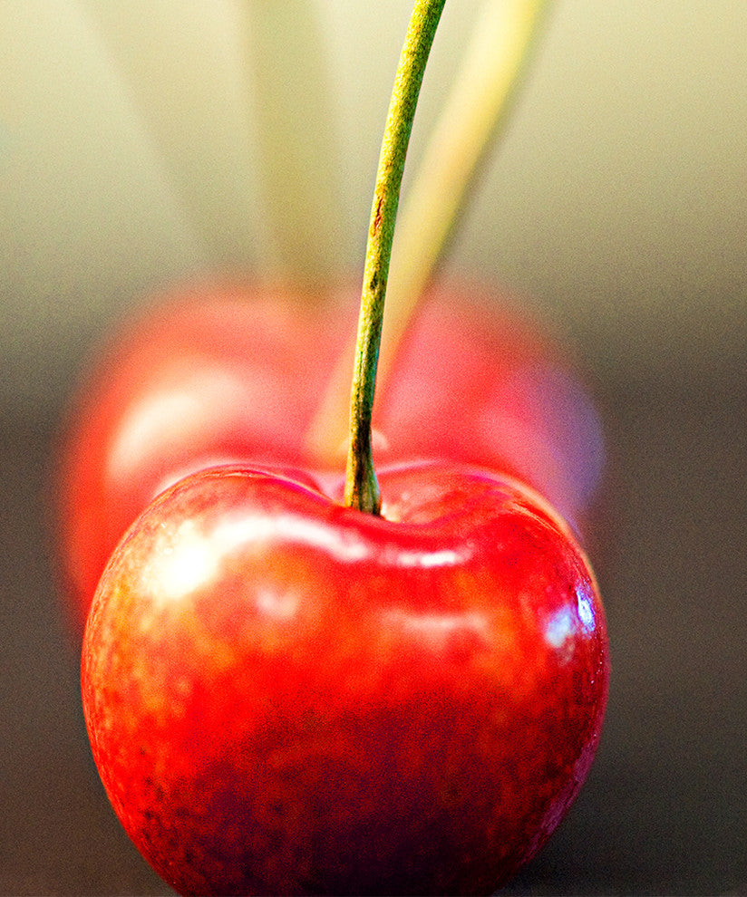 "Cherry on Top" Metal, 20"x24"