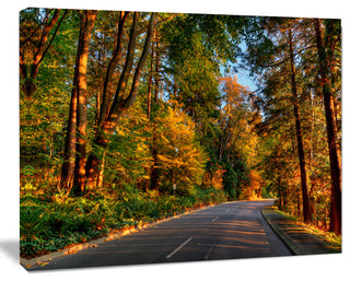 Road through Lit up Fall Forest, Large Landscape Canvas Art, 60"x28"