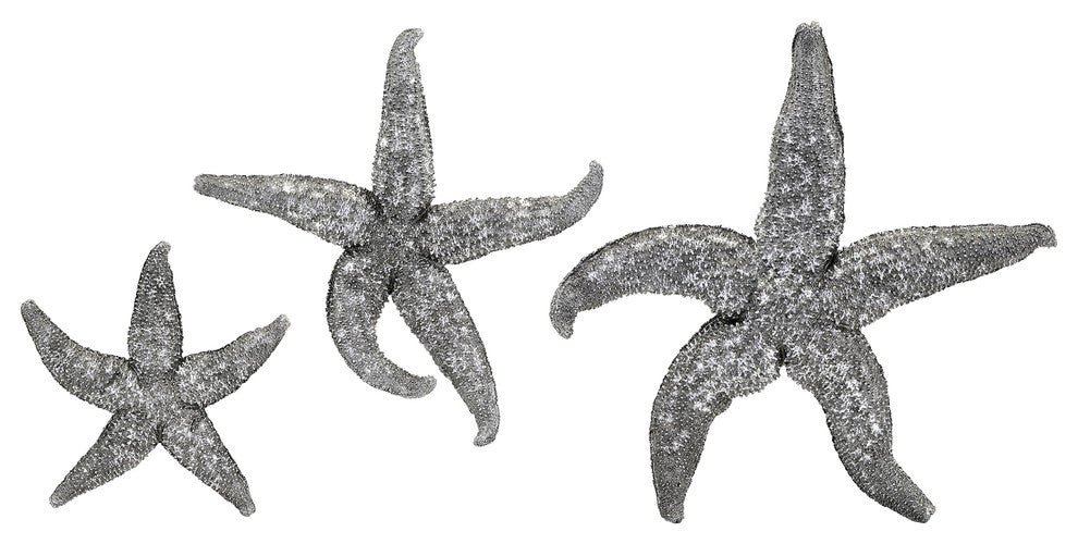 Magali Silver Starfish Wall Decors, 3-Piece Set