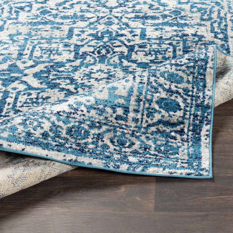 Monte Carlo Updated Traditional Sky Blue, Light Gray Area Rug, 7'10"x10'3"