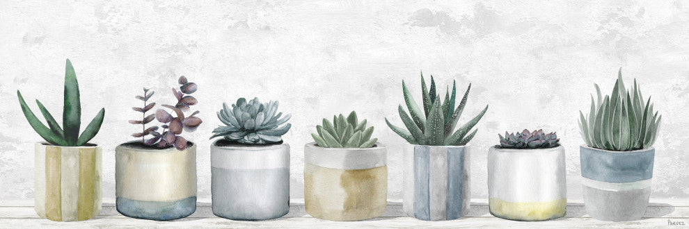 "Ultimate Succulents" Painting Print on Wrapped Canvas