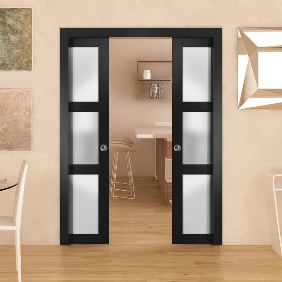Slab Barn Door Panel Frosted Glass 24 x 80, Lucia 2552 Matte Black