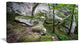 "Deep Moss Forest With Rocks" Landscape Art Print Canvas, 32"x16"