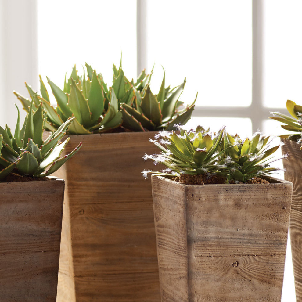 Lifestyle image: real environment with succulents in wooden planters