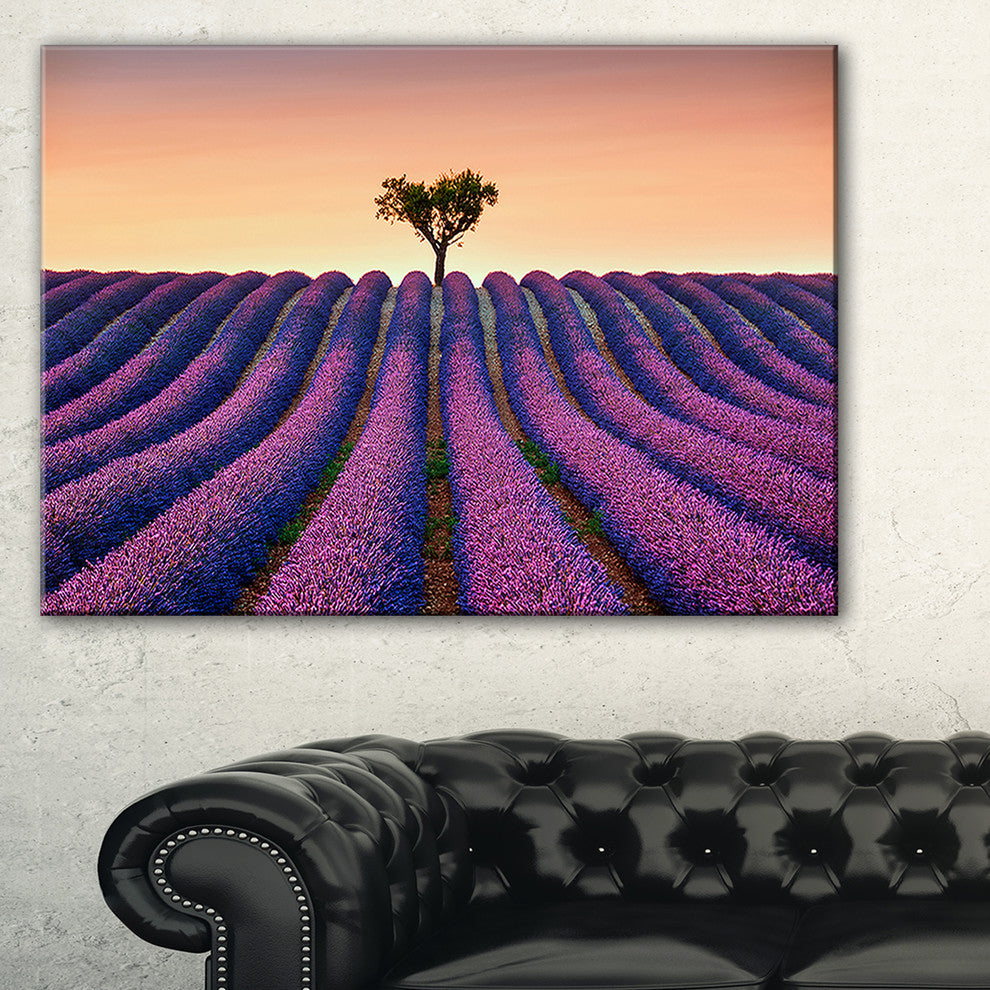 "Lavender and Lonely Tree Uphill" Landscape Photo Wall Art, 40"x20"