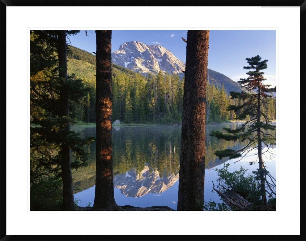 Mt Moran Reflected In String Lake, Grand Teton Np, Wyoming, 38"x30"