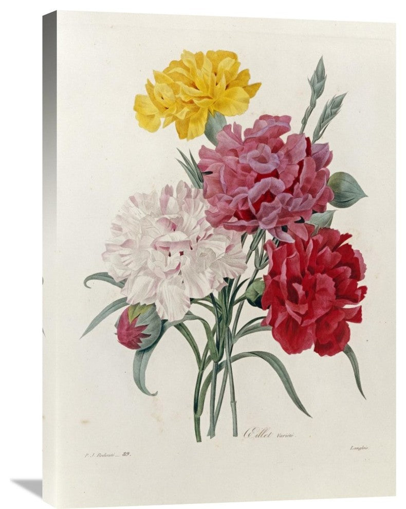 "Carnations" Artwork, 21.2" x 30"