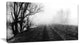 "Black And White Misty Landscape Panorama" Landscape Wall Art, 1 Panel, 60"x28"
