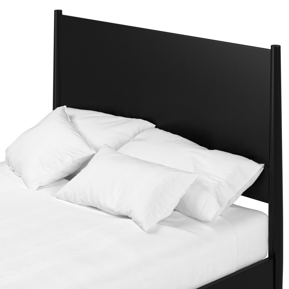 Flynn Mid Century Modern Standard King Panel Bed, Black