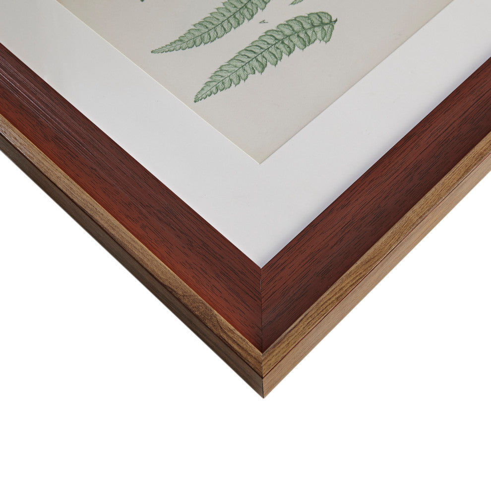 Madison Park Lady Fern Collection Single Mat Framed Graphic 3 Piece Set