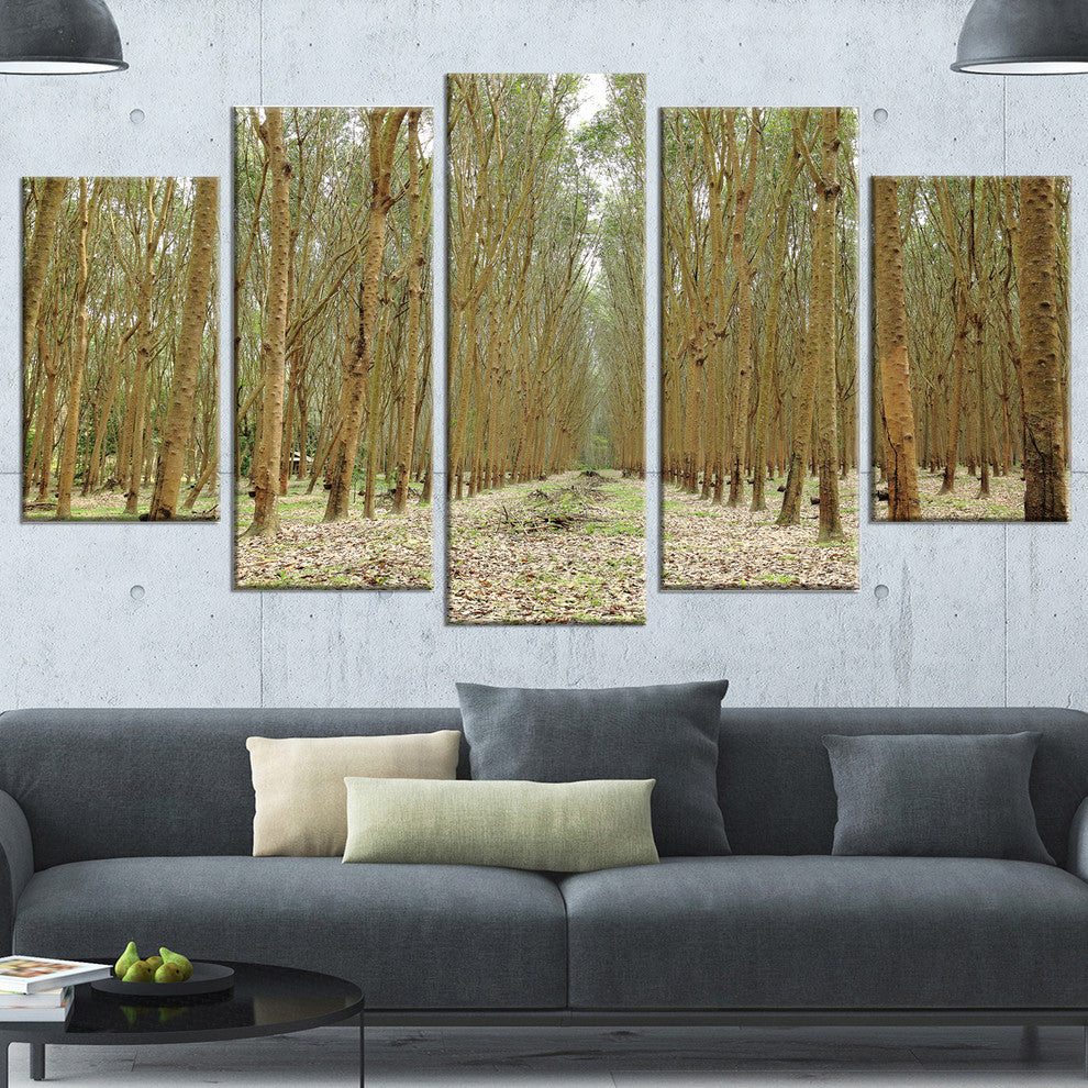 Rubber Trees Row in Thailand, Modern Forest Canvas Art, 60"x32", 5 Panels