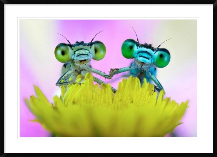 "Take my hand" Framed Digital Print by Ghizzi Panizza Alberto, 44x32"