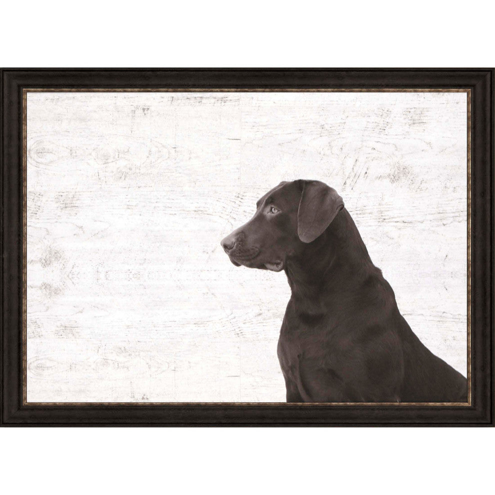 I See You Framed Art