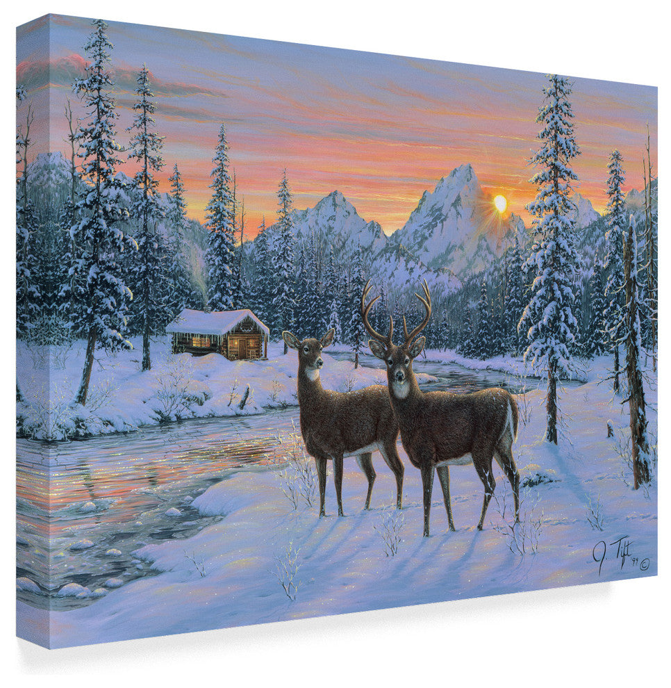 Jeff Tift ''Whitetail'' Canvas Art, 19"x14"