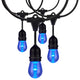 24Ft - 12-S14 Lamp - LED String Light - Starfish IOT - RGBW