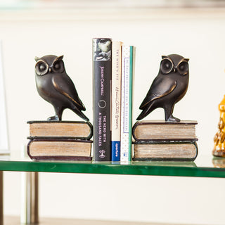 Danya B. 2-Piece Owl on Books Bookend Set