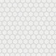 Hudson 1" Hex Crystalline White Porcelain Floor and Wall Tile