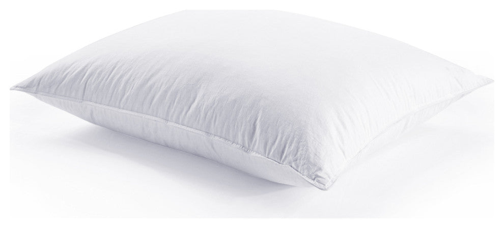 HiEnd Accents Down Pillow Insert, King 21"x34"