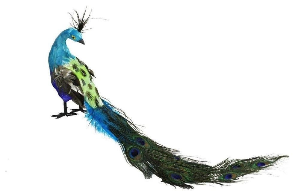 23.5" Regal Peacock With Tail Feathers Christmas Decoration