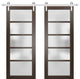 Double Barn Door 60 x 96 Frosted Glass, Quadro 4002 Chocolate Ash, Silver 13FT