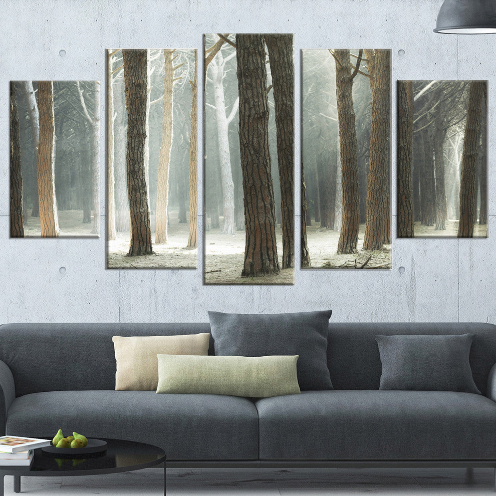 "Maritime Pine Tree Forest With Rays" Forest Wall Art, 5 Panels, 60"x32"