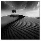 Hardik Pandya 'Faith' Canvas Art, 14x14