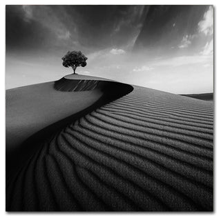 Hardik Pandya 'Faith' Canvas Art, 14x14