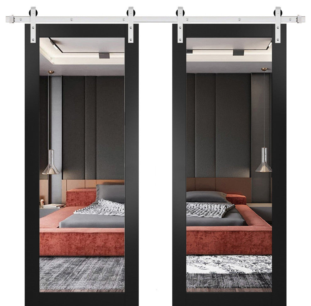 Double Barn Door 48 x 96, Lucia 1299 Matte Black & Mirror, Silver 13FT